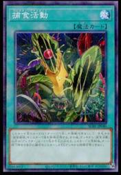 《白饅頭小舖》 SUB1-JP062 爆龍劍士 點火P (普鑽) 搜:22TP-JP309 CORE-JP050 歷史價格詳細信息