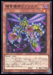 《白饅頭小舖》 DIFO-JP047 席取 六雙丸(隱普) 源 歷史價格詳細信息