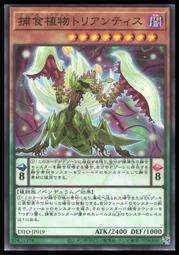 《白饅頭小舖》 DIFO-JP017 捕食植物 彩虹草蜂 (銀字) 歷史價格詳細信息