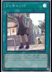 《白饅頭小舖》 23TP-JP201 珠玉獸 阿爾戈龍 (亮面) 搜:ETCO-JP037 歷史價格詳細信息