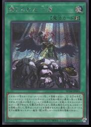 《白饅頭小舖》 ROTD-JP005 教導的聖女 艾克莉西亞 (亮面) 歷史價格詳細信息