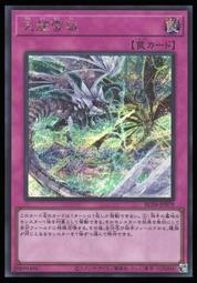 《白饅頭小舖》 ROTD-JP005 教導的聖女 艾克莉西亞 (亮面) 歷史價格詳細信息