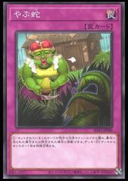 《白饅頭小舖》 FLOD-JP047夢幻界 獨角獸 (正刻亮面)  搜: RC04-JP044 歷史價格詳細信息