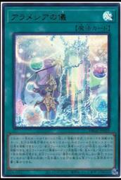 《白饅頭小舖》 DBGC-JP003 Jo P.U.N.K.Mme. 蜘蛛 (亮面) 歷史價格詳細信息