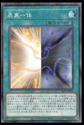 《白饅頭小舖》 23TP-JP201 珠玉獸 阿爾戈龍 (亮面) 搜:ETCO-JP037 歷史價格詳細信息