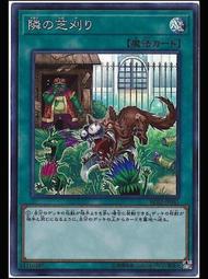 鄰居的植物諮商室：聊植物，談人生，竟找到最溫柔的撫慰[二手書_良好]4374 TAAZE讀冊生活 歷史價格詳細信息