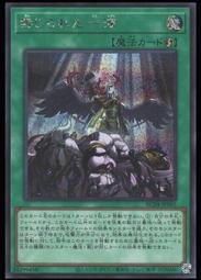 《白饅頭小舖》 ROTD-JP005 教導的聖女 艾克莉西亞 (亮面) 歷史價格詳細信息