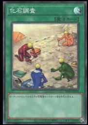《白饅頭小舖》 RC04-JP054 化石調査 (半鑽) 歷史價格詳細信息