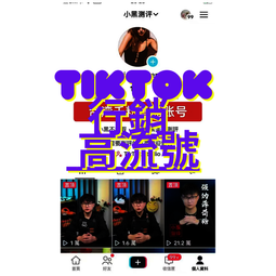 Tik Tok爆款燈顯數顯高速吹風機負離子11萬轉1600W大功率電吹風 歷史價格詳細信息