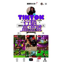 Tik Tok爆款燈顯數顯高速吹風機負離子11萬轉1600W大功率電吹風 歷史價格詳細信息