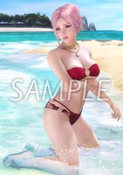 生死格鬥1+2 XBOX版 歷史價格詳細信息
