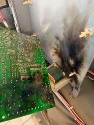 【多維空間】HP 240 G10 14吋商務筆電i5-1335U/16G/512GB SSD 歷史價格詳細信息