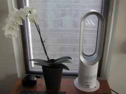 Dyson 戴森 AM09 涼暖 風扇 循環扇  / 氣流倍增器 白銀 【福利品】公司貨 1年保固 蝦皮券適用 歷史價格詳細信息