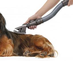 全新-DYSON 過敏工具組/吸塵器吸頭/吸塵器配件 歷史價格詳細信息