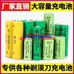 現貨飛科刮胡刀可充電電池1428mm毫米23AA 1.2V 450mAh新疆西藏專鏈 歷史價格詳細信息