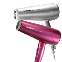 @達新牌TS-2390 負離子專業吹風機 歷史價格詳細信息