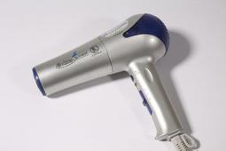 【達新牌】TS-2100A 吹風機 歷史價格詳細信息