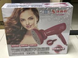 (W SHOP)全新達新牌TS-7588美髮沙龍1300W超大風專業吹風機 歷史價格詳細信息