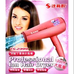 達新牌 1200W負離子專業吹風機 TS-2677 歷史價格詳細信息
