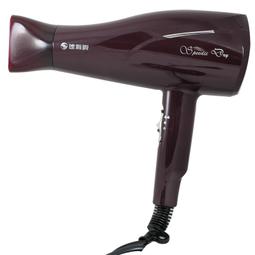 達新牌 1400W陶瓷和負離子吹風 機施華洛世奇水鑽版TS-6388 歷史價格詳細信息