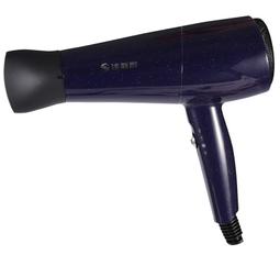 【達新牌】1200W 低磁波沙龍專業吹風機 TS-2333 歷史價格詳細信息
