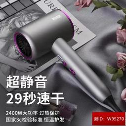 德系電吹風機家用大風力髮廊大功率理髮店負離子冷熱風靜音 歷史價格詳細信息