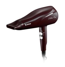 【179電舖】達新牌 銀離子抗菌吹風機 TS-2929【彰化市可自取】 價格比較,價格查詢,歷史價格詳細信息