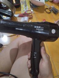 達新牌 專業吹風機TS-2100K 歷史價格詳細信息