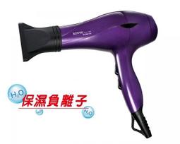 【KINYO】保濕負離子專業吹風機(KH-189) 歷史價格詳細信息