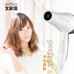 大家源 負離子 水潤 護髮 吹風機 TCY-1608 廠商直送 現貨 歷史價格詳細信息