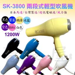 SK-3800 專業用吹風機 免運優惠中 歡迎自取【金多利美妝】 歷史價格詳細信息