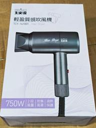 大家源質感吹風機 TCY-161001+KINYO 超輕量USB無線離子夾(超值組合價) 歷史價格詳細信息