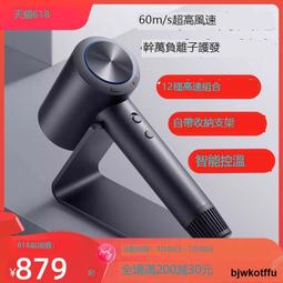 小.米高速負離子吹風機H501SE家用護髮吹風機大功率風力速乾小颶 歷史價格詳細信息