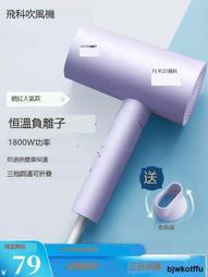 飛科吹風機家用大功率負離子護髮大風力速乾電吹風學生宿舍用吹風機 歷史價格詳細信息