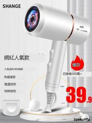 電吹風機家用負離子護發宿舍用大小功率學生800w吹風筒小型女生款向日葵 歷史價格詳細信息