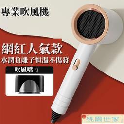 桃園世家 吹風機俞兆林 專業吹風機 靜音 大功率 2W髮廊級別風力 防止漏電、防止燃燒、防摔防撞-AP 歷史價格詳細信息