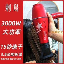 【免運】負離子護髮吹風機 德國出口110v電吹風機 負離子護髮吹風機 發廊大功率無葉高速負離子 戴生吹風簡小家電 歷史價格詳細信息