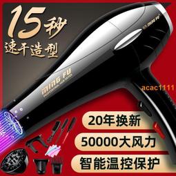 電吹風機家用靜音發負離子護髮速幹大風力風筒華強北2024新款 歷史價格詳細信息