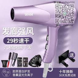 發廊大風 電吹風機 負離子護髮吹風機 負離子吹風機 家用大功率學生宿舍 靜音理發店電吹風筒家用 歷史價格詳細信息