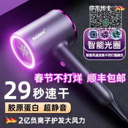 電吹風機家用負離子護發宿舍用大小功率學生800w吹風筒小型女生款向日葵 歷史價格詳細信息