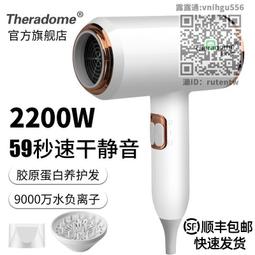 Theradome髮廊吹風機家用大功率理髮店負離子護髮冷熱風電吹風筒 歷史價格詳細信息