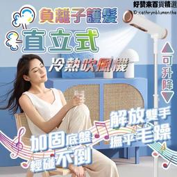 直立式吹風機 立式吹風機 懶人吹風機 冷暖出風 負離子吹風機 110V 通過臺灣安規 CP值超高 歷史價格詳細信息