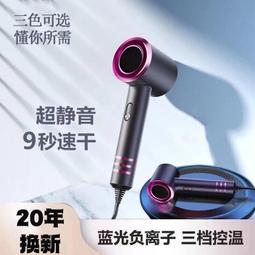 電吹風機家用負離子護發宿舍用大小功率學生800w吹風筒小型女生款向日葵 歷史價格詳細信息