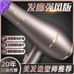 電吹風大功率髮廊大風吹風機家用速幹藍光負離子筒冷不傷發 歷史價格詳細信息