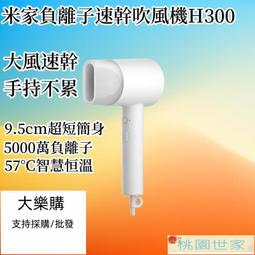 桃園世家 吹風機俞兆林 專業吹風機 靜音 大功率 2W髮廊級別風力 防止漏電、防止燃燒、防摔防撞-AP 歷史價格詳細信息
