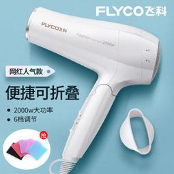 電吹風飛科發廊版大功率吹風機家用大風力不傷發電吹風負離子護發吹風筒 歷史價格詳細信息
