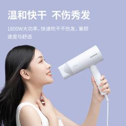 電吹風飛科吹風機家用大功率速干折疊電吹風學生宿舍發廊男士專用吹風筒 歷史價格詳細信息