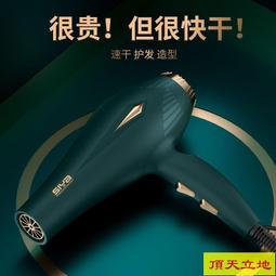 發廊大風負離子吹風機家用大功率學生宿舍靜音理發店電吹風筒家用 歷史價格詳細信息