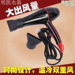 髮廊吹風機大風力發超靜音大功率負離子家用理髮店電吹風 歷史價格詳細信息