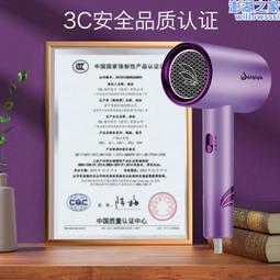 家用電吹風大功率家用吹風機髮廊冷熱風藍光離子護髮風筒其他 歷史價格詳細信息